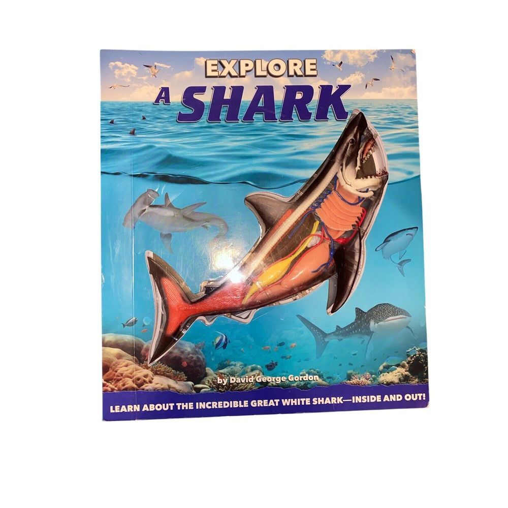 Explore a Shark by David George Gordon: Explore a Shark Inside and Out
